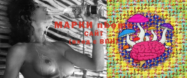 прущая мука Бородино